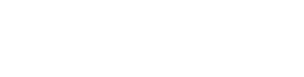 Reputation Audit
