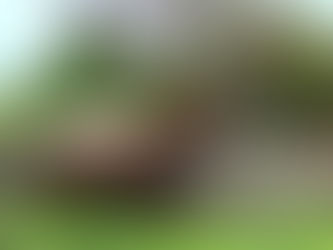 INFPが生き延びる唯一の道 