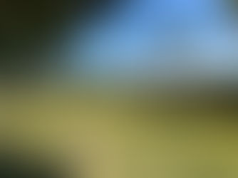 天使に助けられた日