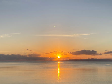 菌ちゃんとの暮らし