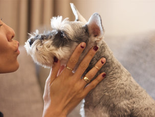 NAIL INSPO | Holiday Hands