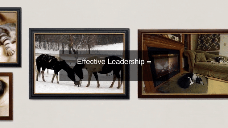 No Kill is effective leadership