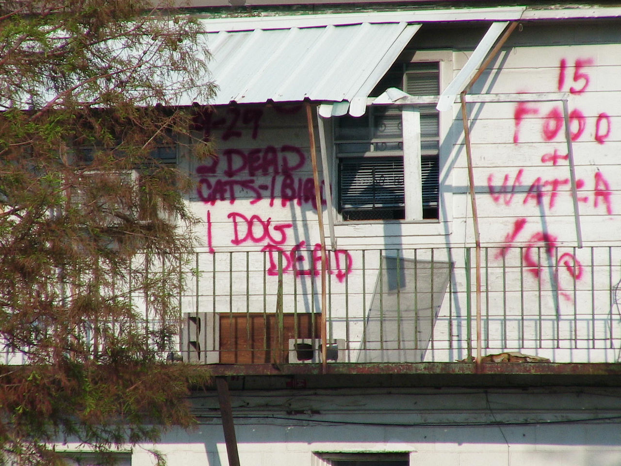 Residents and rescuers communicated with each other by spray painting messages on buildings.