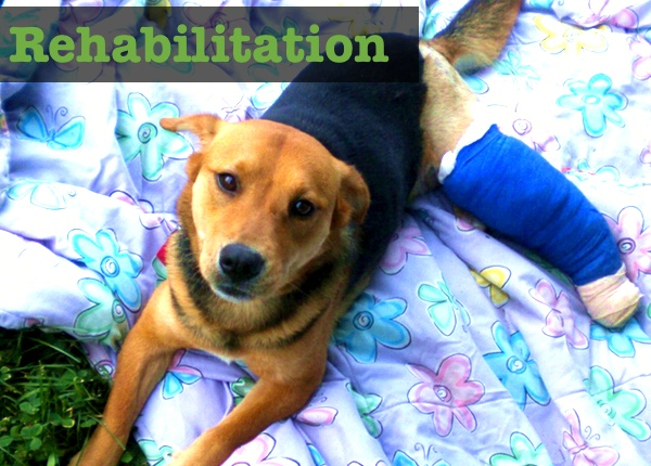 Rehabilitation