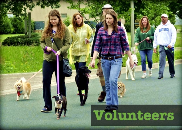 Volunteers