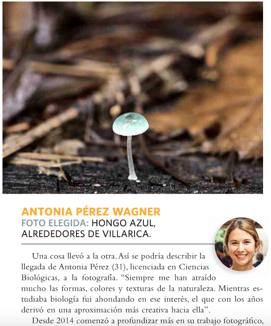 Revista Domingo