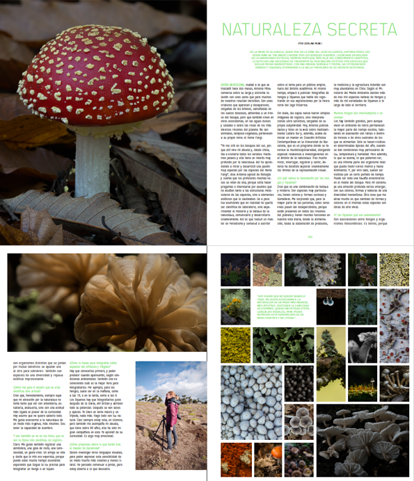 Revista En Altura