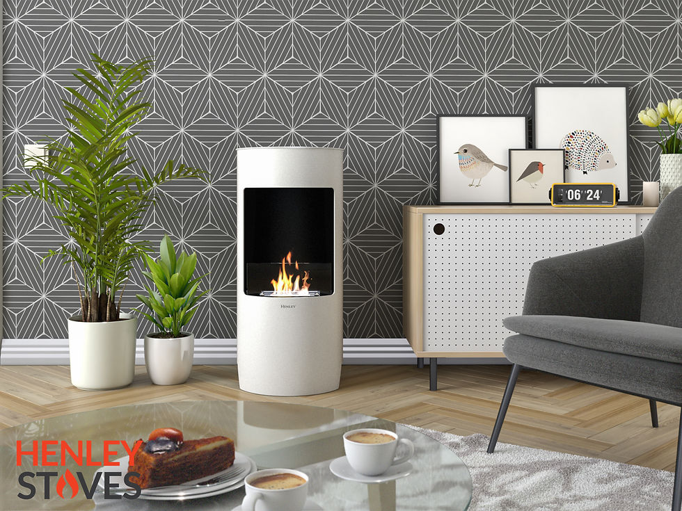 Henley Stoves Paris Freestanding Bioethanol Stove 2
