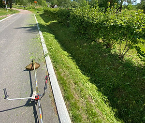 Viheraluuet2_edited.jpg