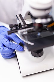 closeup-doctor-woman-hands-analyzing-microbiology-disease-test-results.jpg