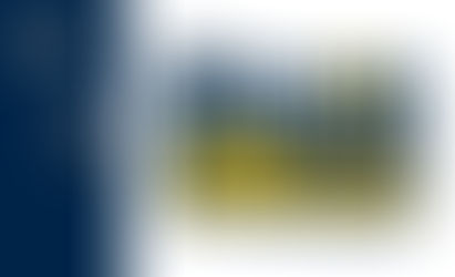 Empowering Communities: NAACP Million Jobs Campaign 2023 Eighth Report