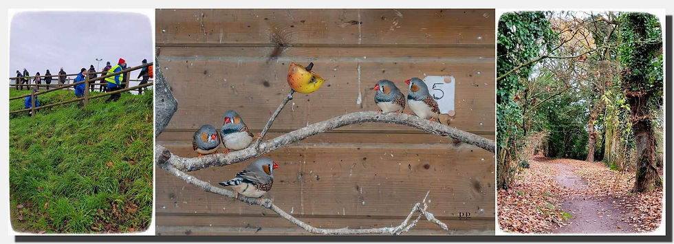 25.12.17Trégueux3pw