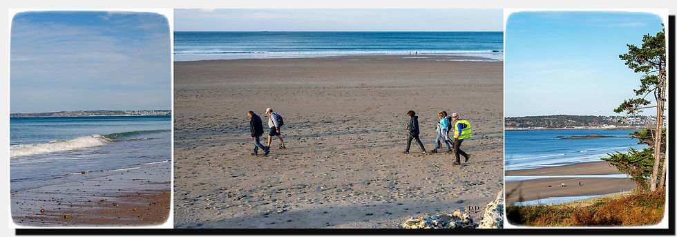 25.11.12Pléneuf14pw