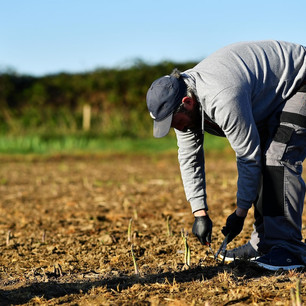 Les agriculteurs québécois réclament une aide d'urgence
