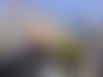 安城市 Y様邸① 屋根張替＆外壁塗装