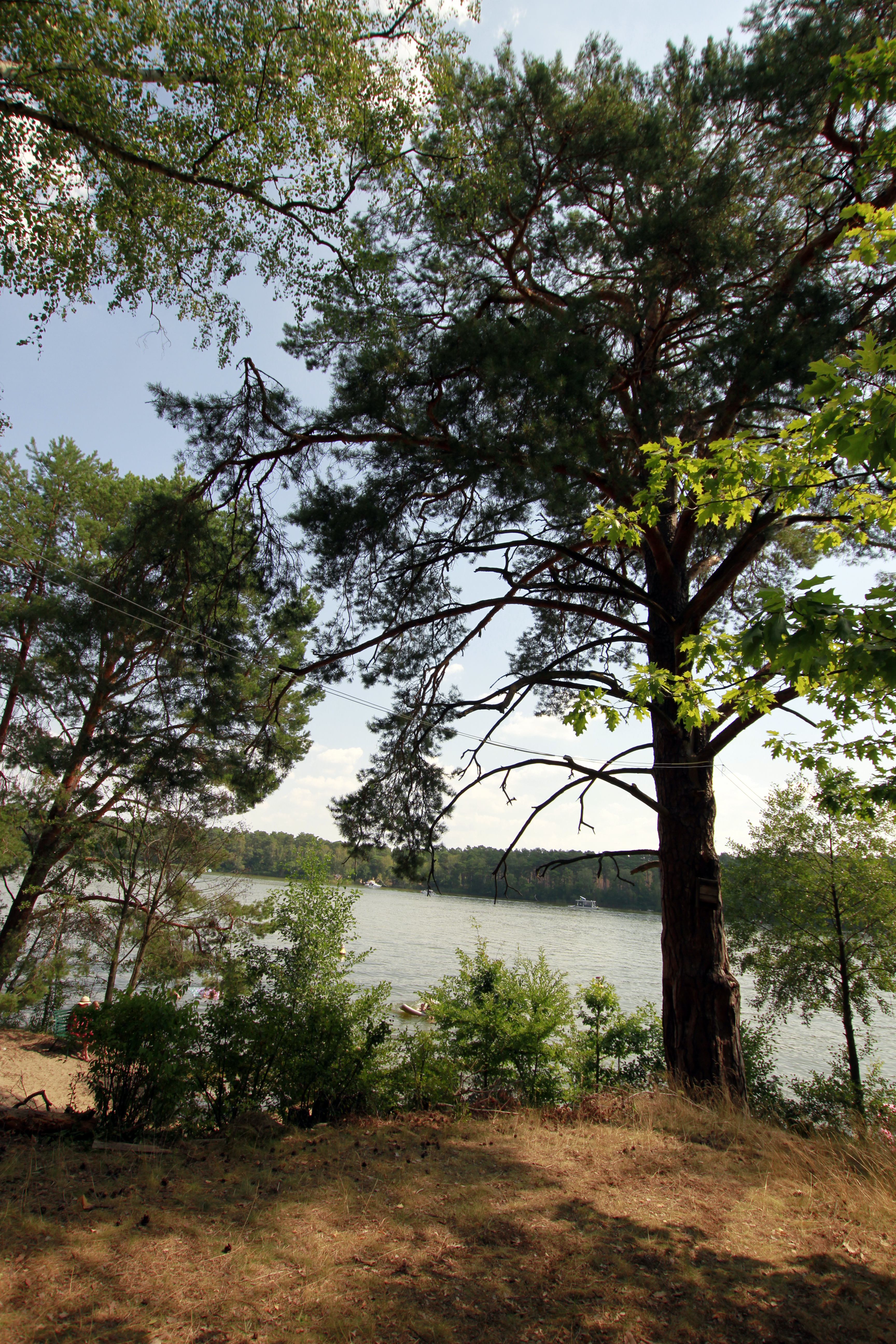 Campingplatz D66 am Schmöldesee - Photo 3