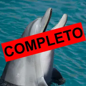 TOUR DELFINES - 55€