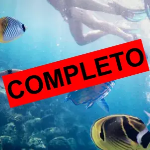 TOUR SNORKEL - 28€