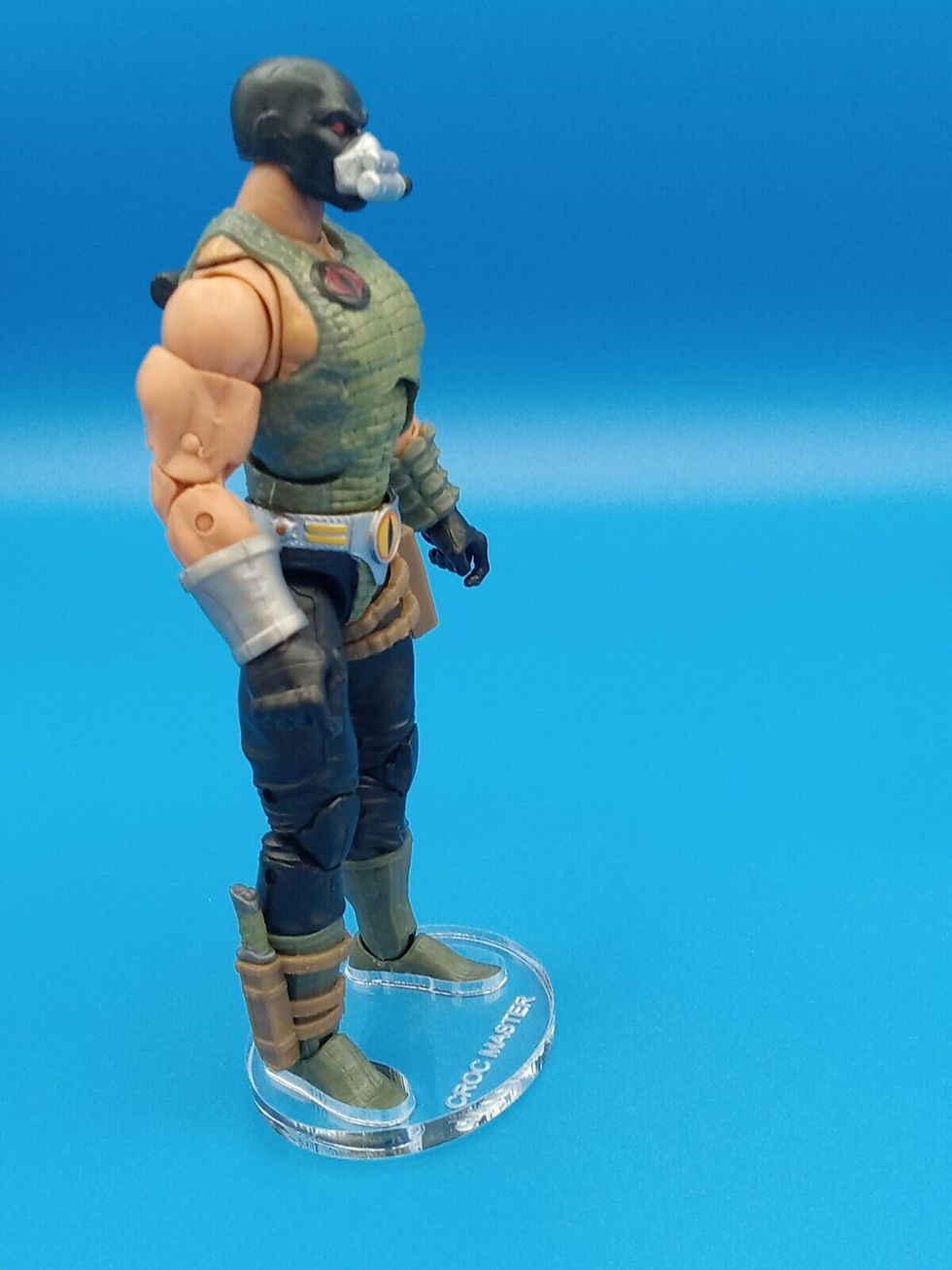Thumbnail: Croc Master