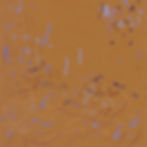 Autograph - 6/17/13/d