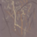 Autograph - 6/22/13/c