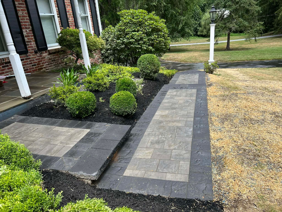 1b2ad2c5-d748-4423-88b7-e28751f91311