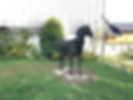 Pferd
