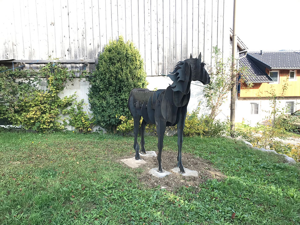 Pferd