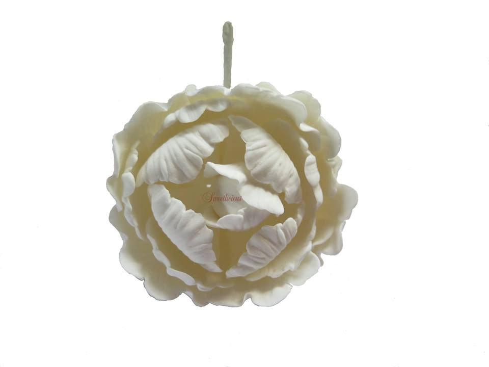 Peony White 10cm Edible Sugar Flower