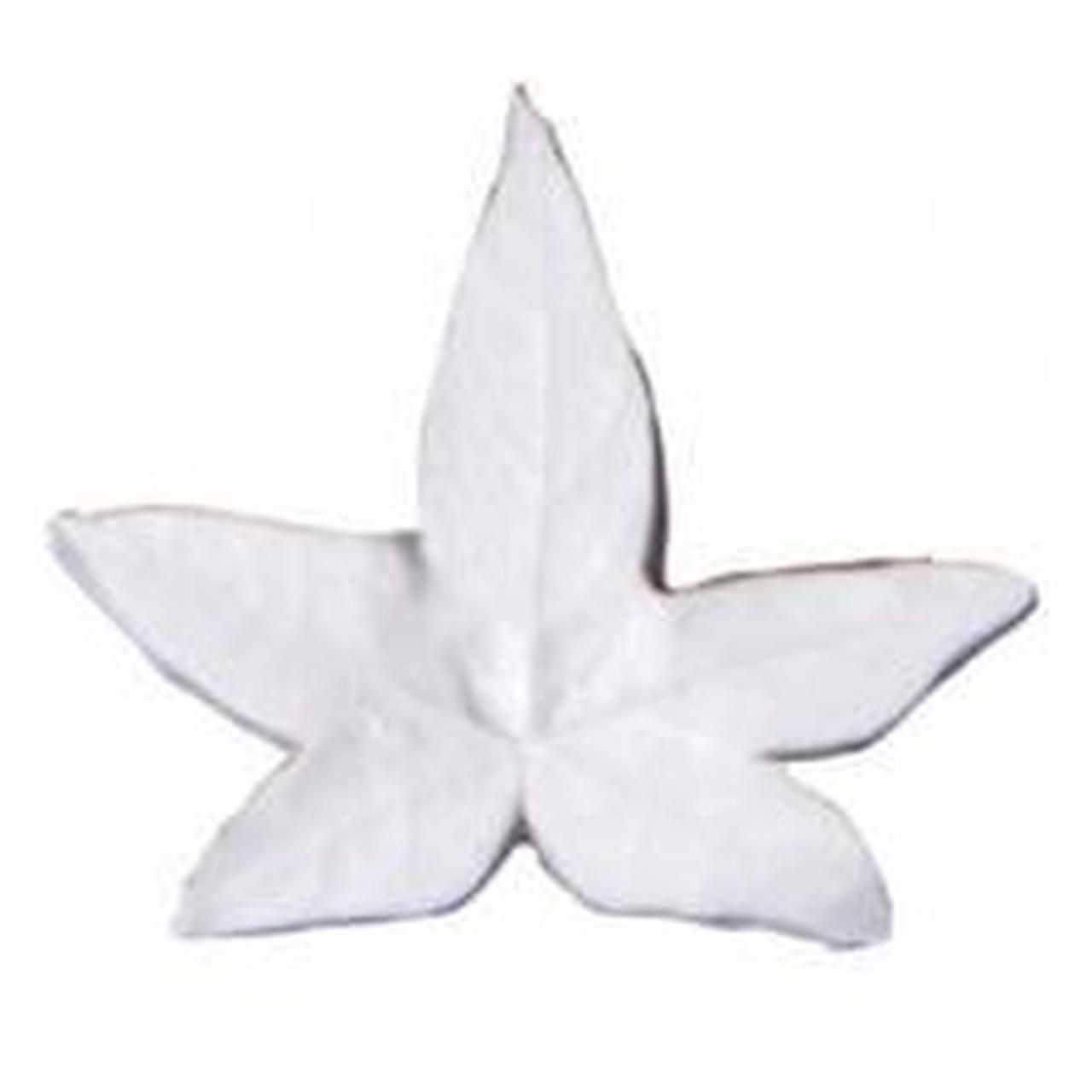 Ivy Veiner 6 piece set