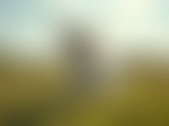 Advanced Dog Obedience Methods for a Well-Behaved Companion