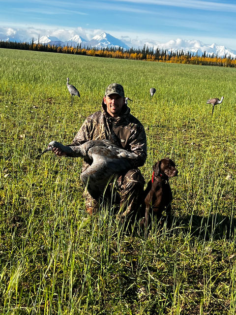 Sand Hill Crane with GSP