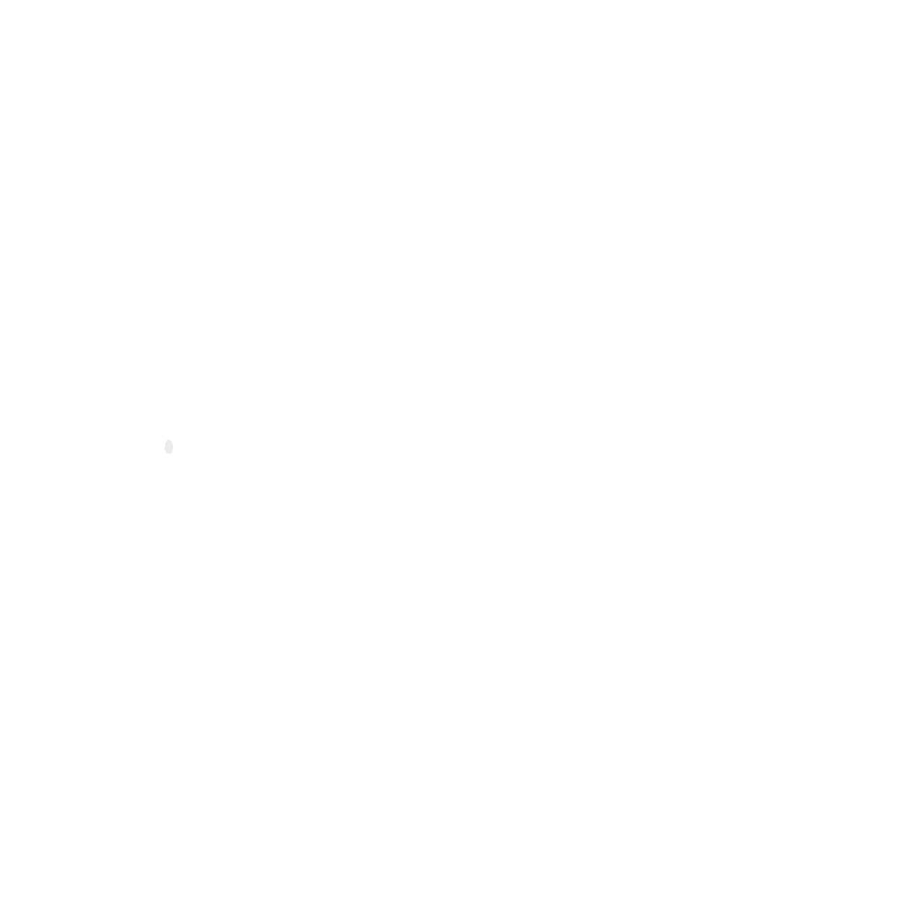 Navin Mathew signature