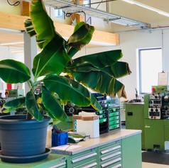 Neuplanung und Bau der mechanischen Werkstatt in Peiting