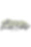 IMG_7295.jpeg