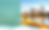 Frankfurt Banner.png