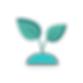 Pflanze.png