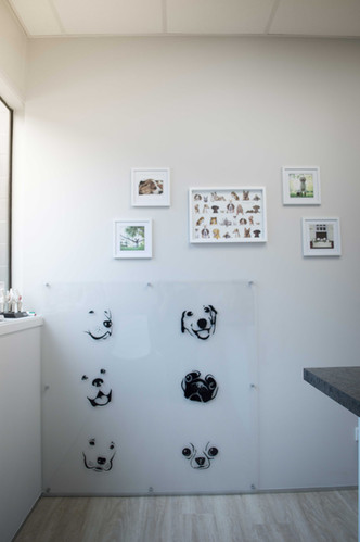 Vet clinic interior design