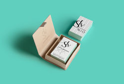 SLV SHOES
