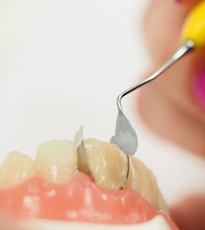 istockphoto-2161357714-612x612_edited.jp