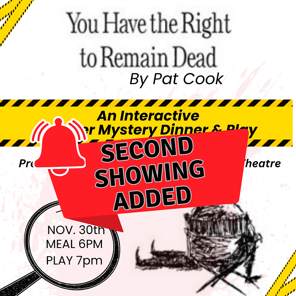 Interactive Mystery Dinner & Play