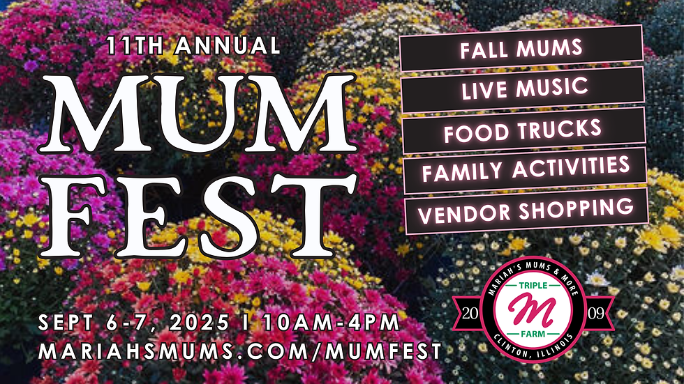 Website Mum Fest Cover.png