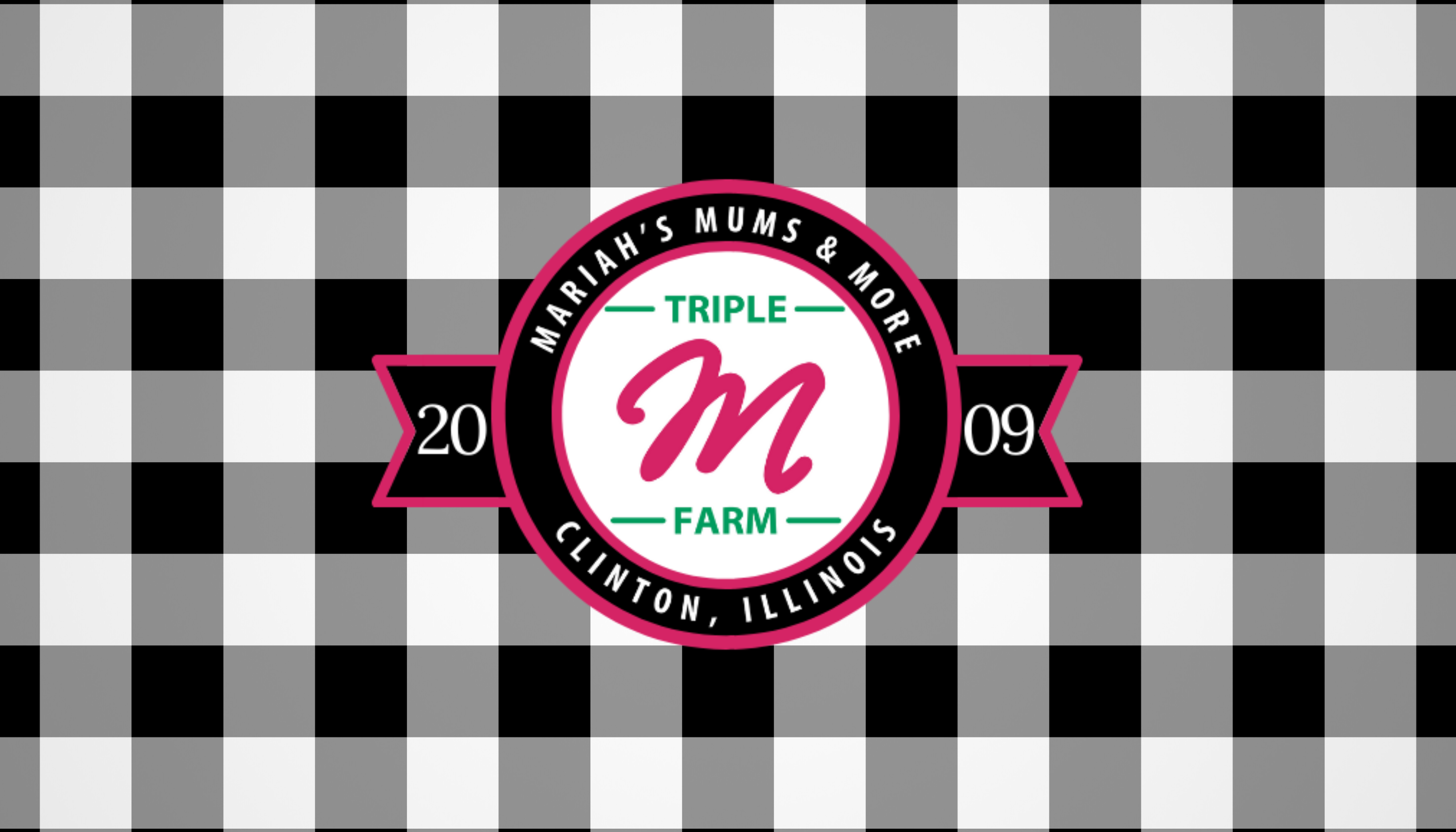Triple M Farm: Mariah's Mums & More | DeWitt County, Illinois