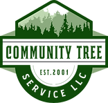 New CTS Logo.png