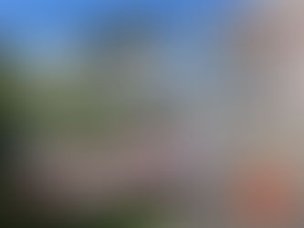 お知らせ：3/10(日)寺子屋 今年度最終となります📚