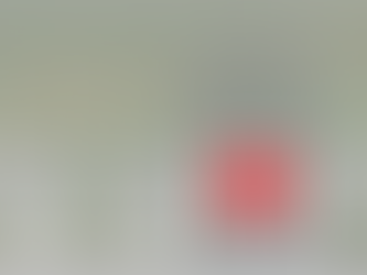 Hier het inplantingsplan waar de 2 Energie Neutrale-Woningen worden gebouw in Bekkevoort. (Assent)