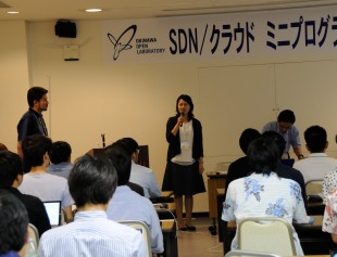 DSC_4034-310x237