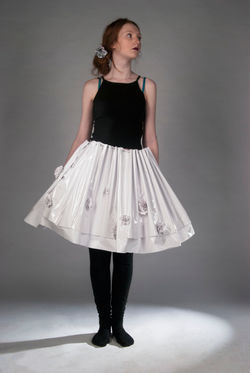 Plastic Skirt 1