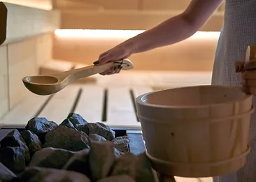Dry Sauna.webp