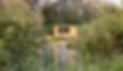 sauna lake.png